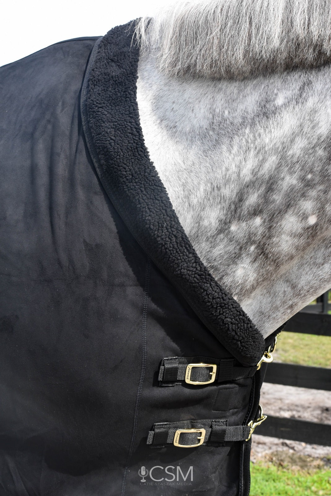 LT EquSuede Blanket – Fenwick Equestrian