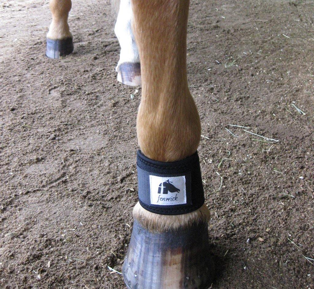 Pastern wrap shop horse