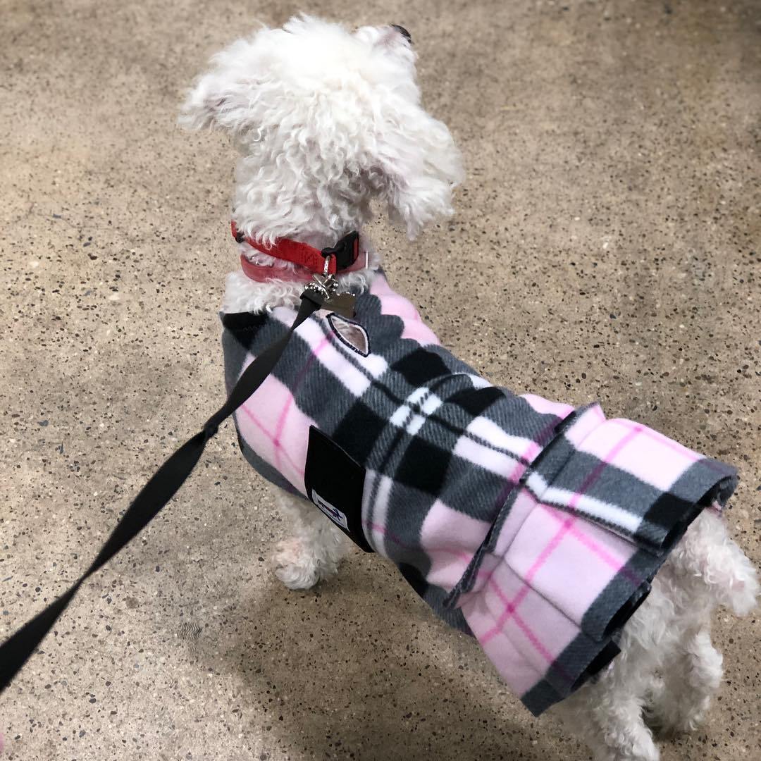 Pink plaid dog coat hotsell